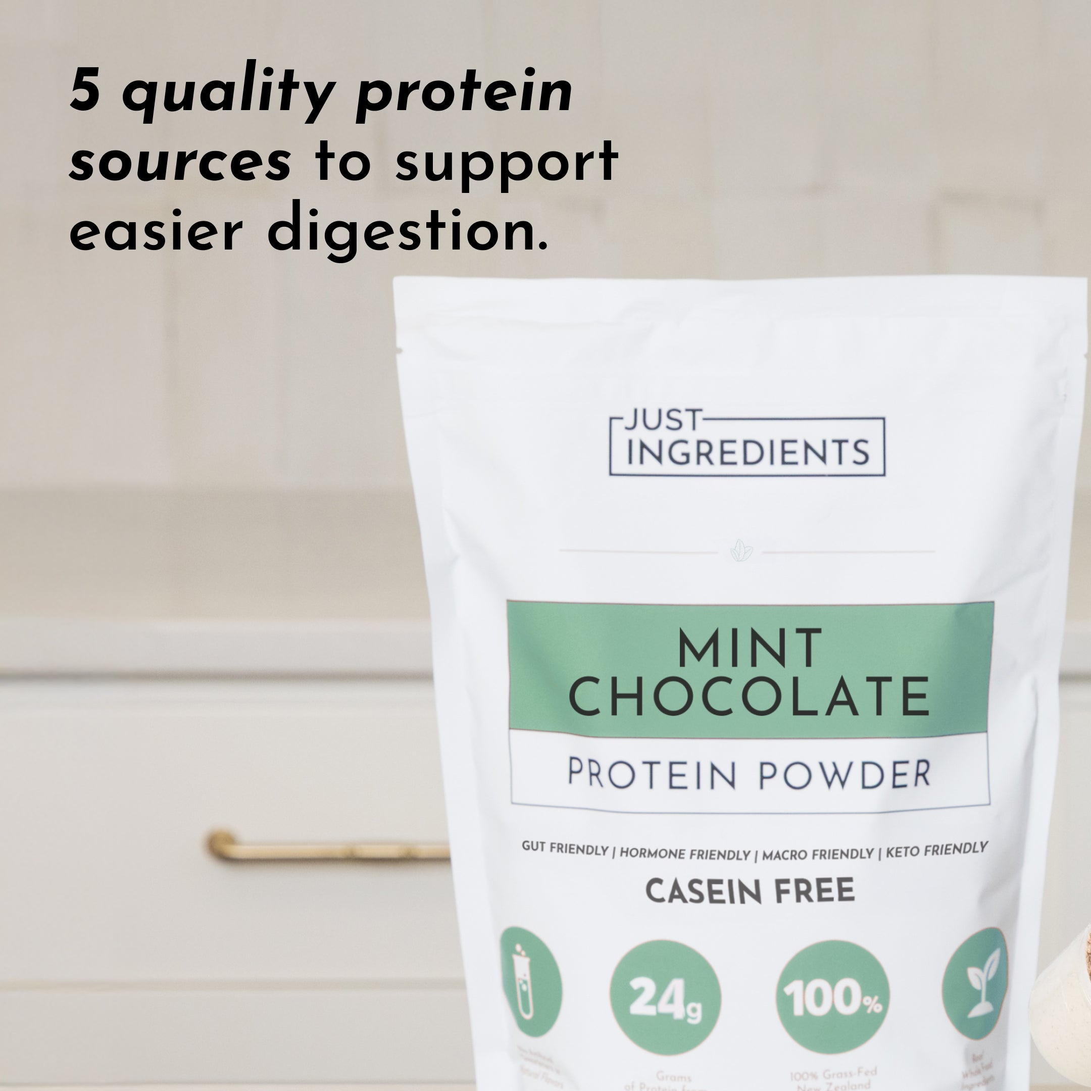 Mint Chocolate Protein Powder
