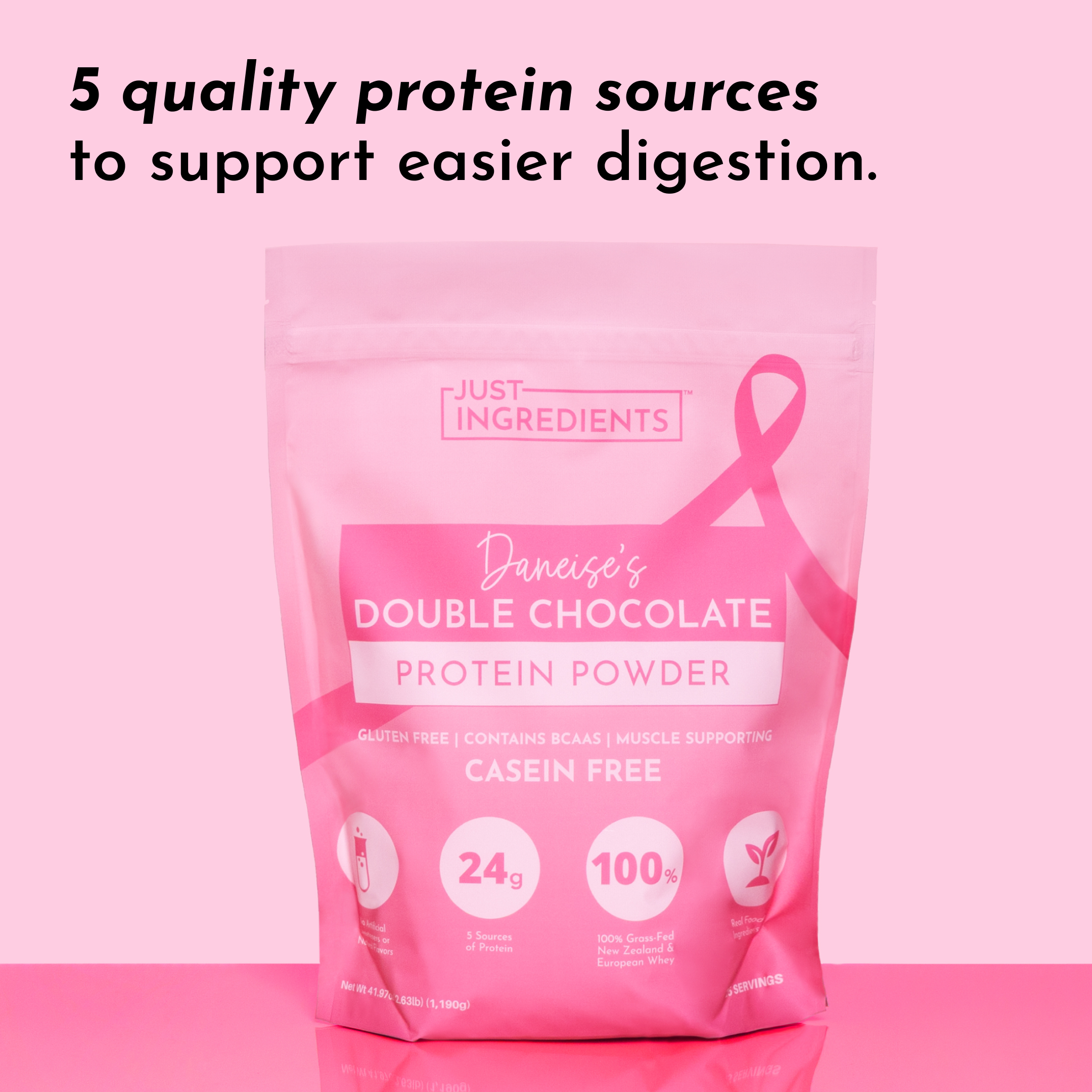 Daneise's Double Chocolate Protein Powder