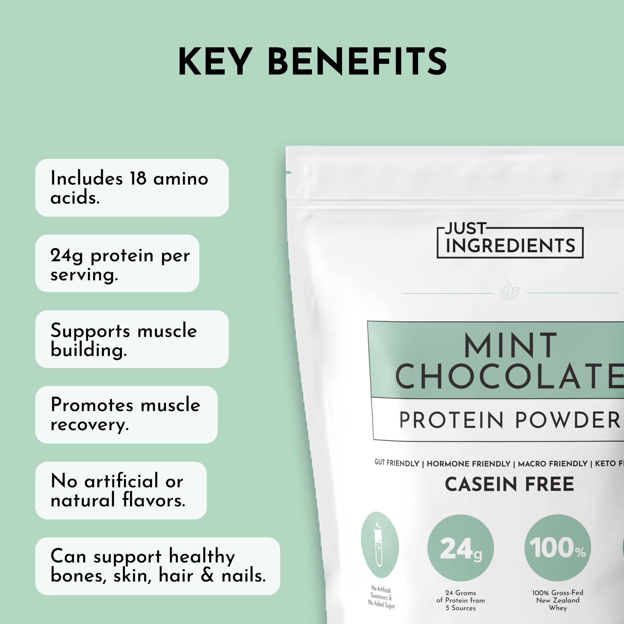 Mint Chocolate Protein Powder