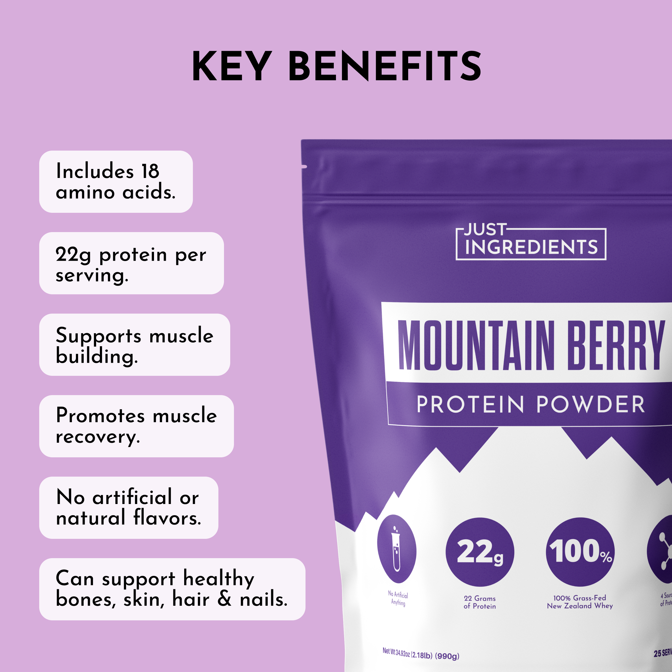 Mountain Berry Protein Powder