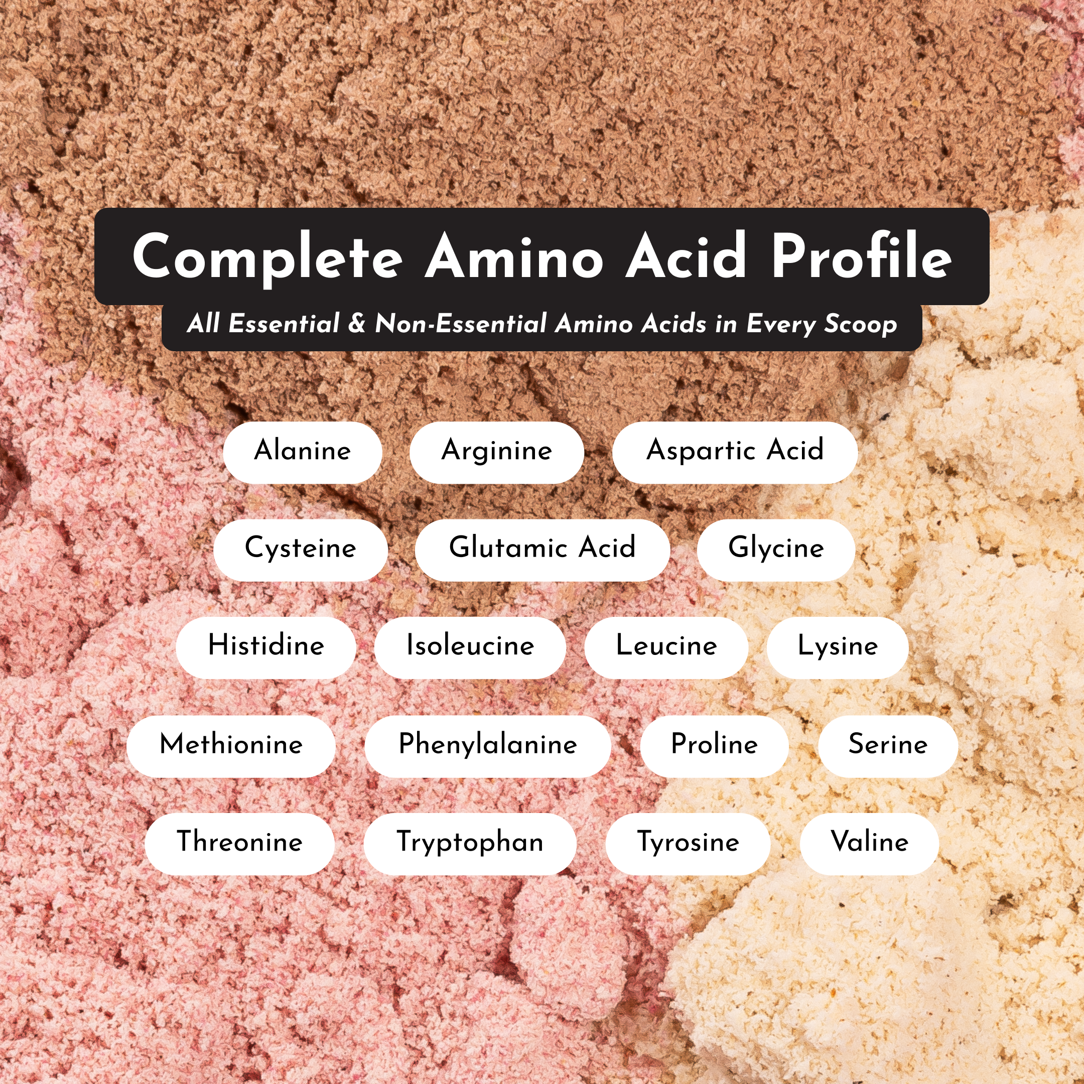 Daneise's Double Chocolate Protein Powder