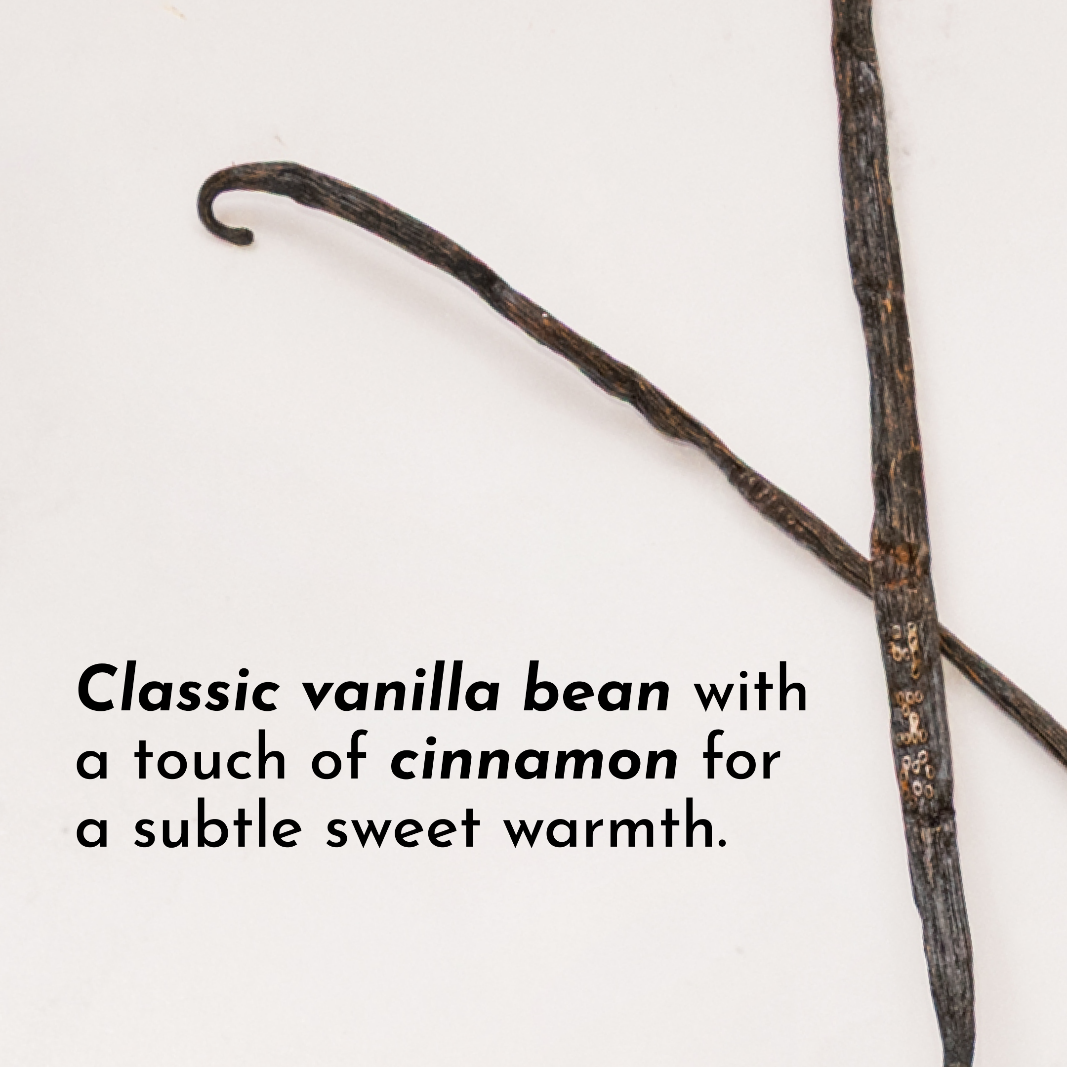 Vanilla Bean Protein Powder