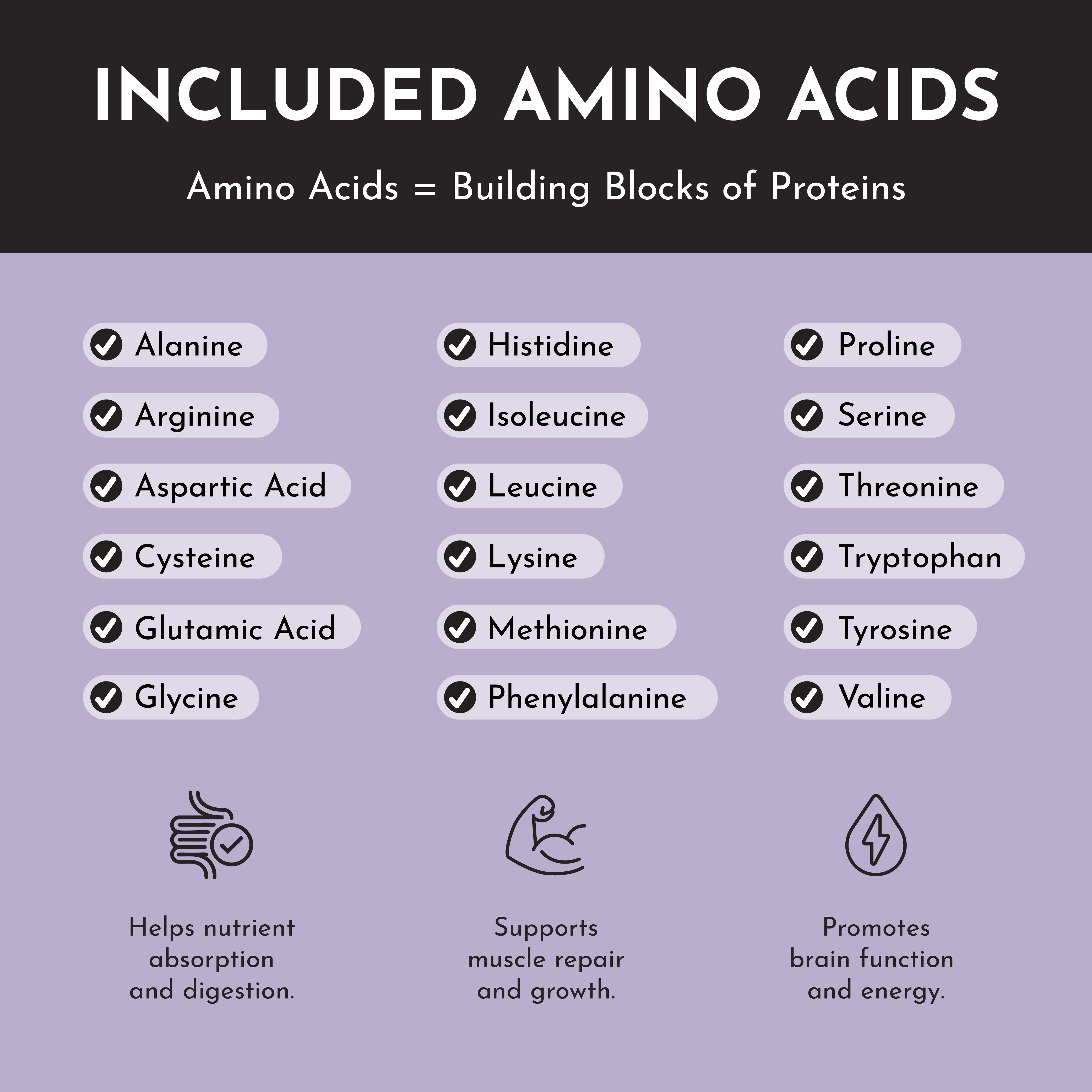 Mountain Berry Protein Powder Stick