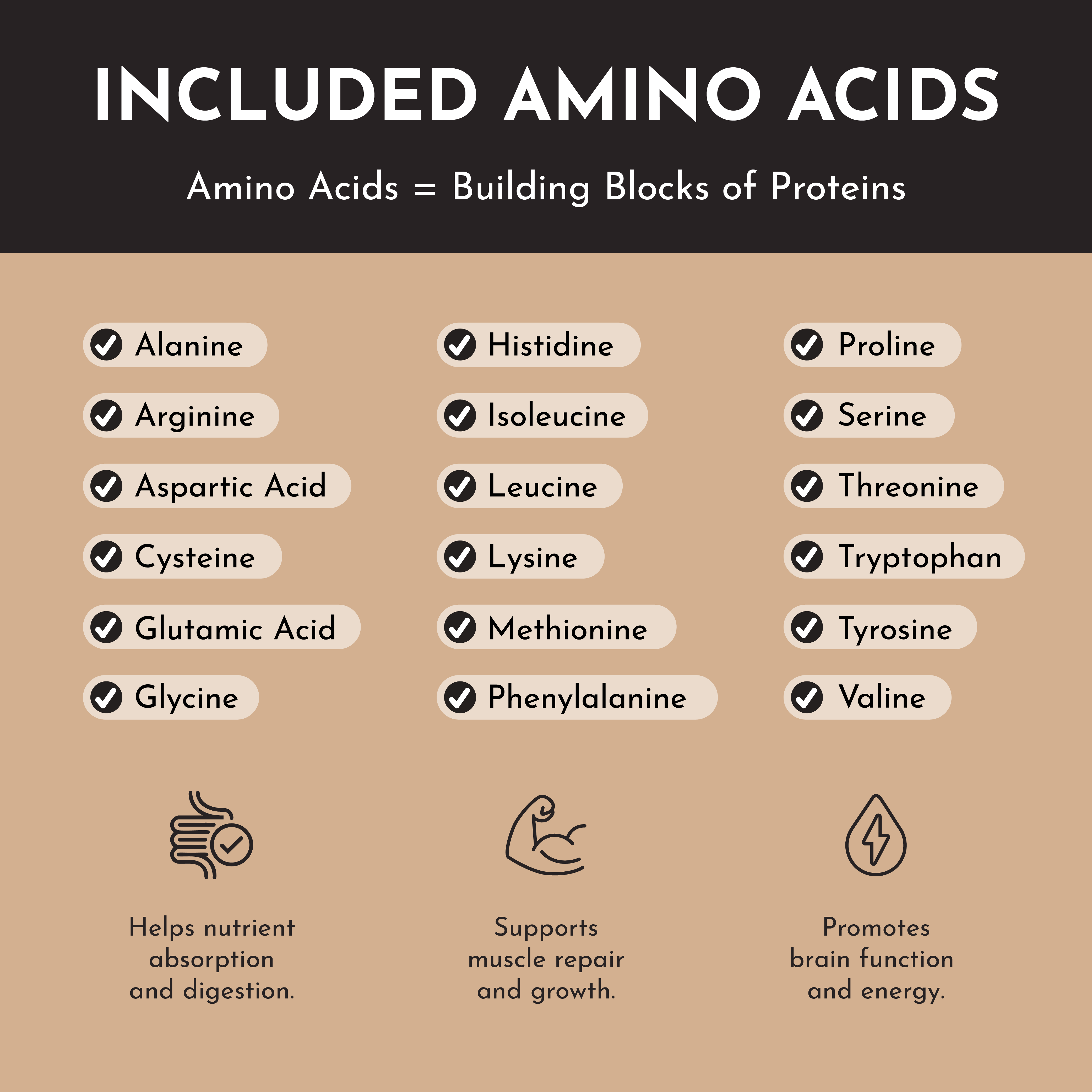 Snickerdoodle Protein Powder Stick