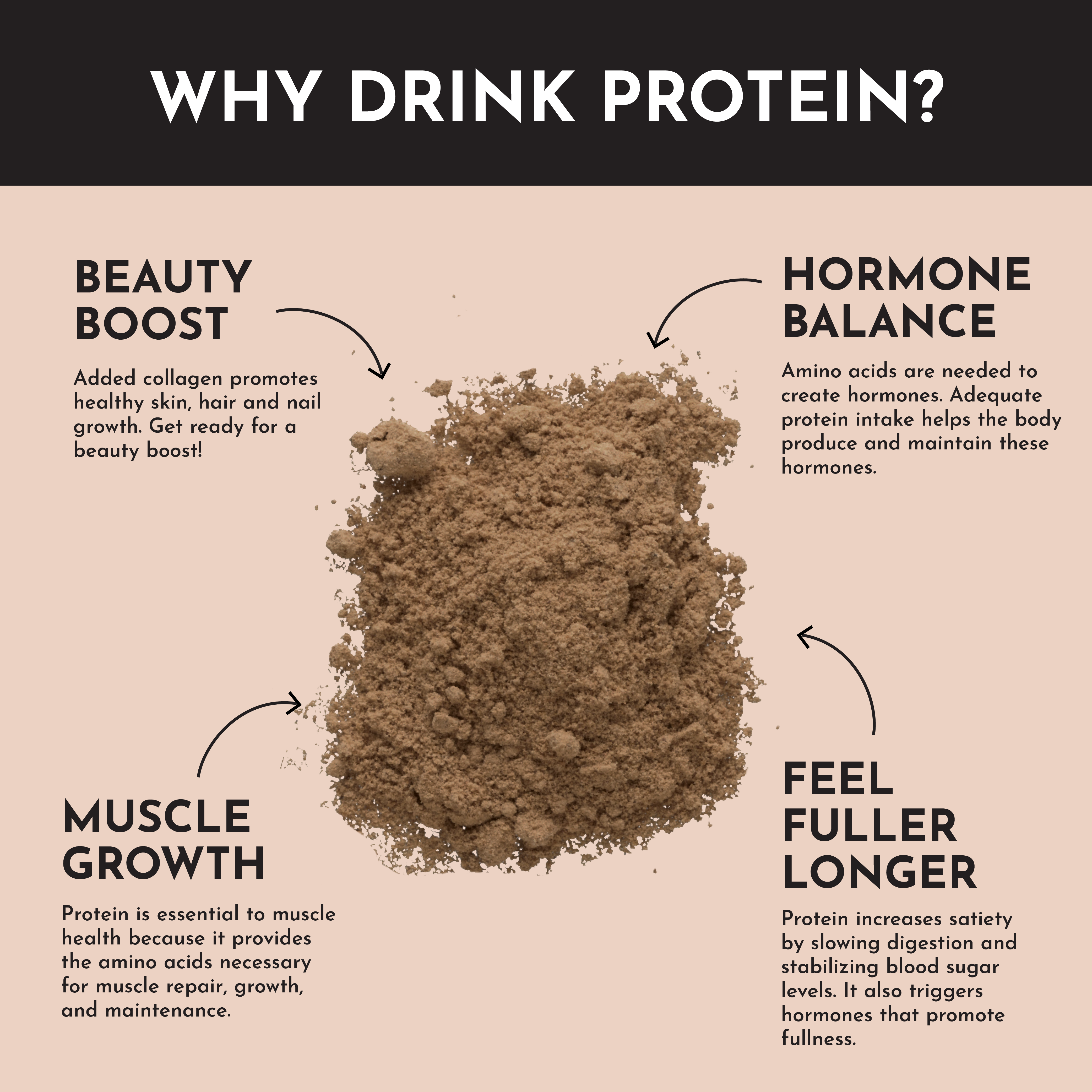 Roasted Peanut Butter Chocolate Protein Powder Stick