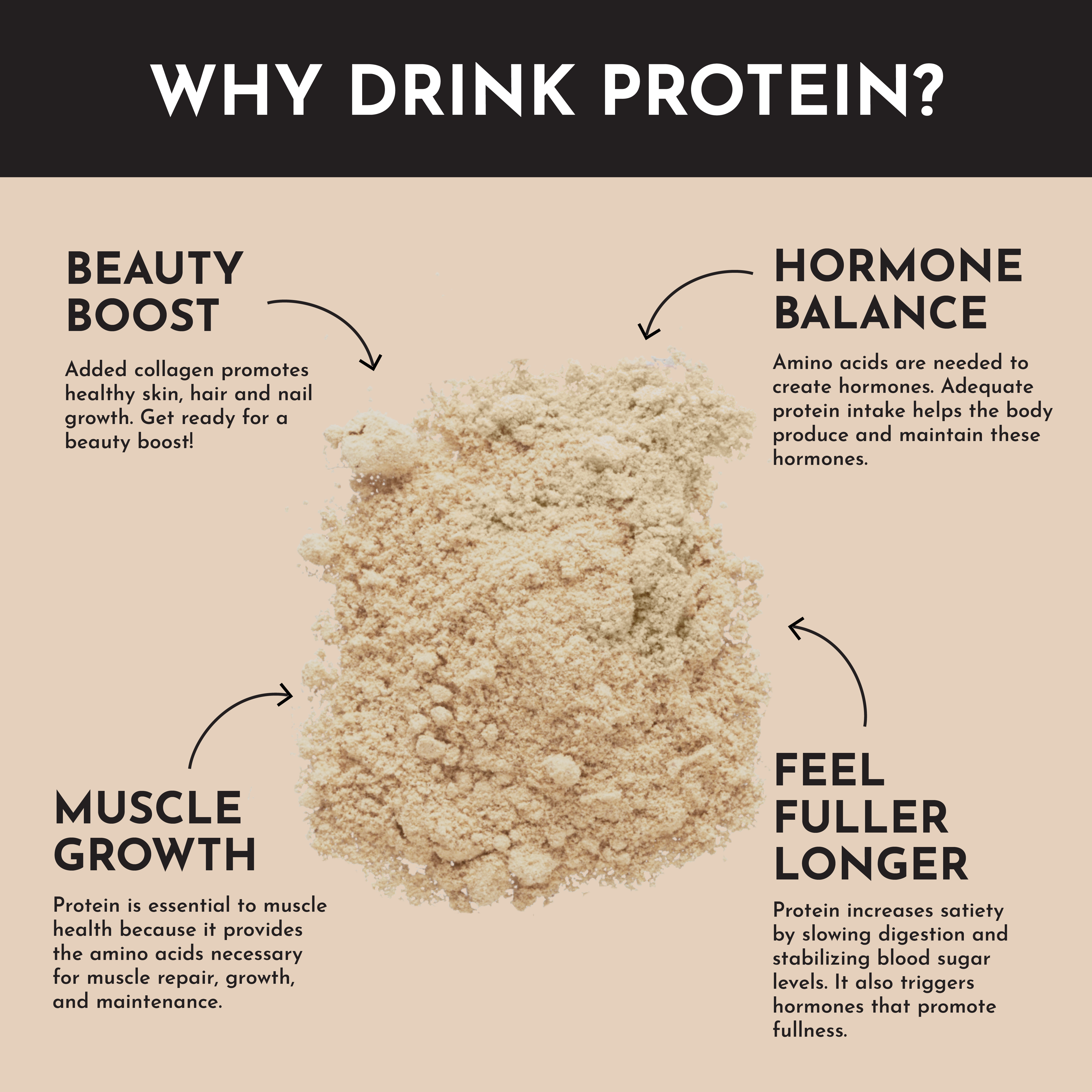 Snickerdoodle Protein Powder Stick