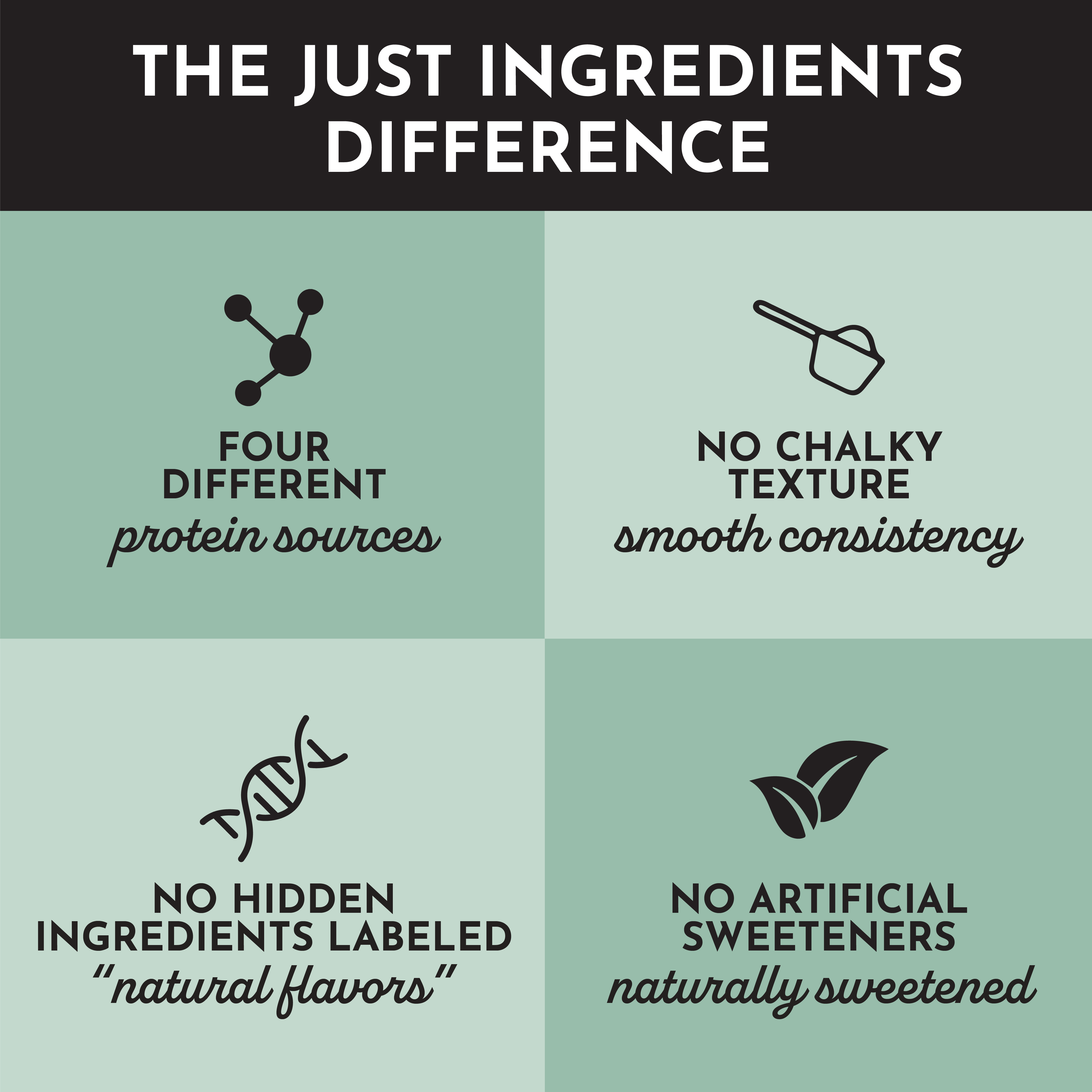 Vegan Mint Chocolate Protein Powder