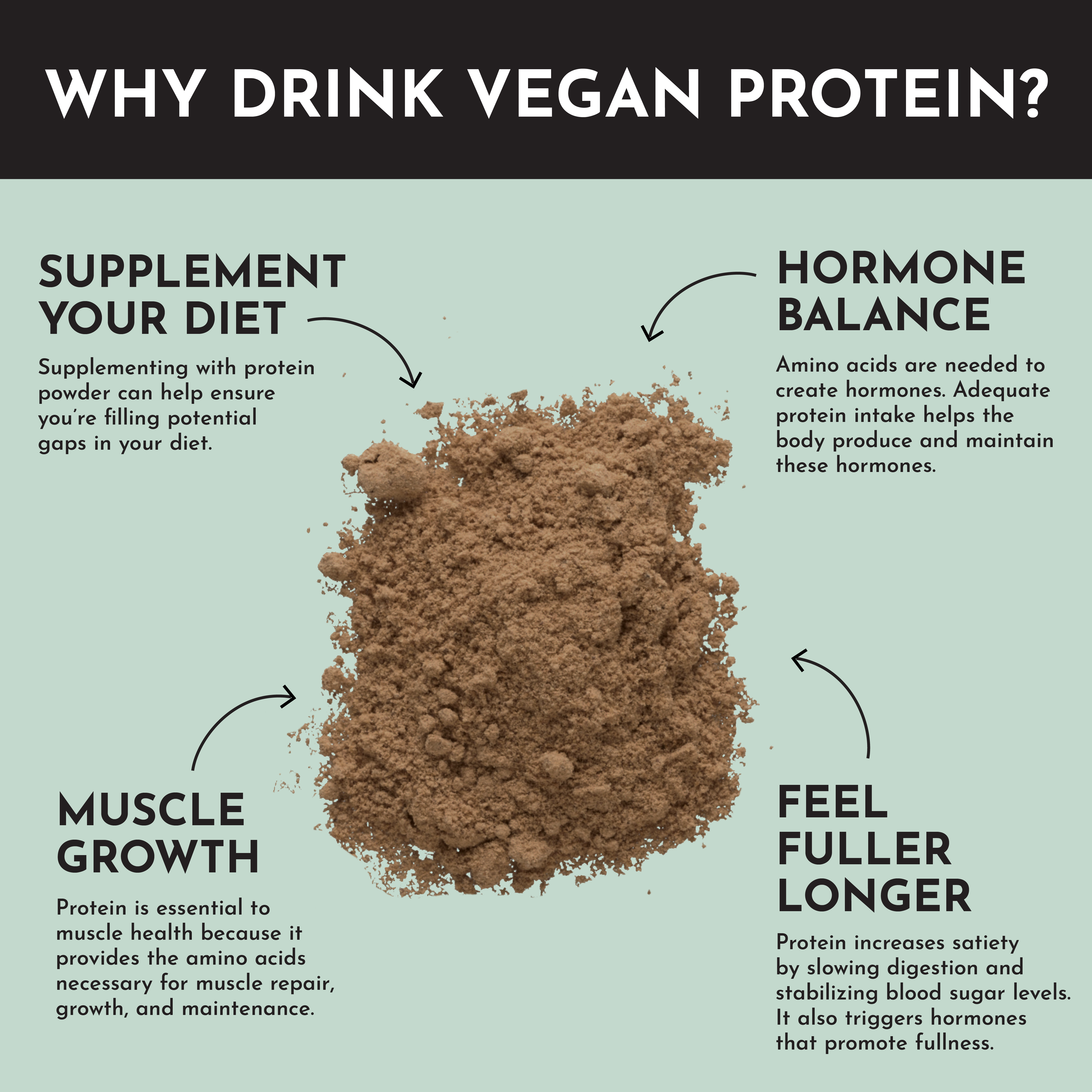 Vegan Mint Chocolate Protein Powder