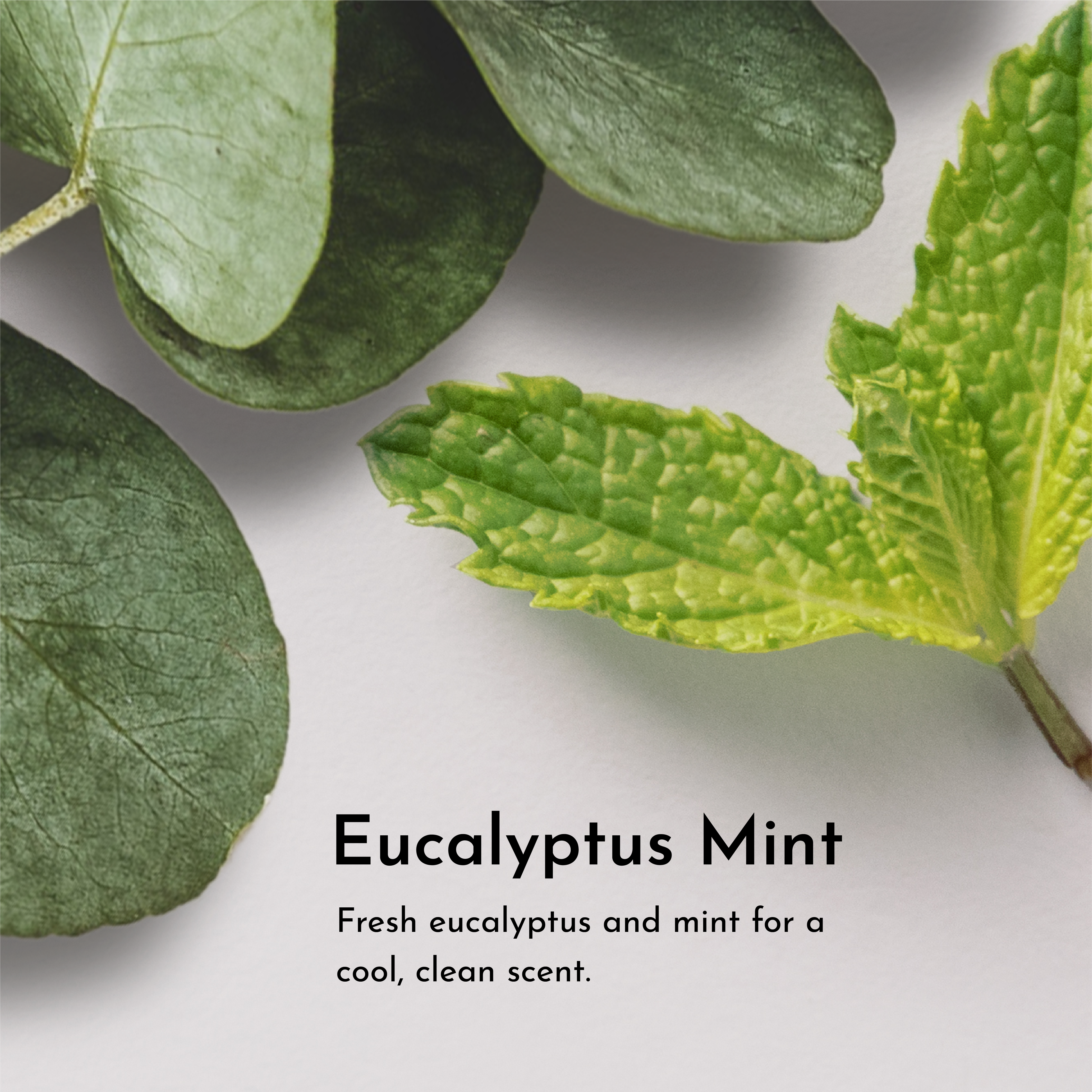 Face Serum Oil - 2 oz