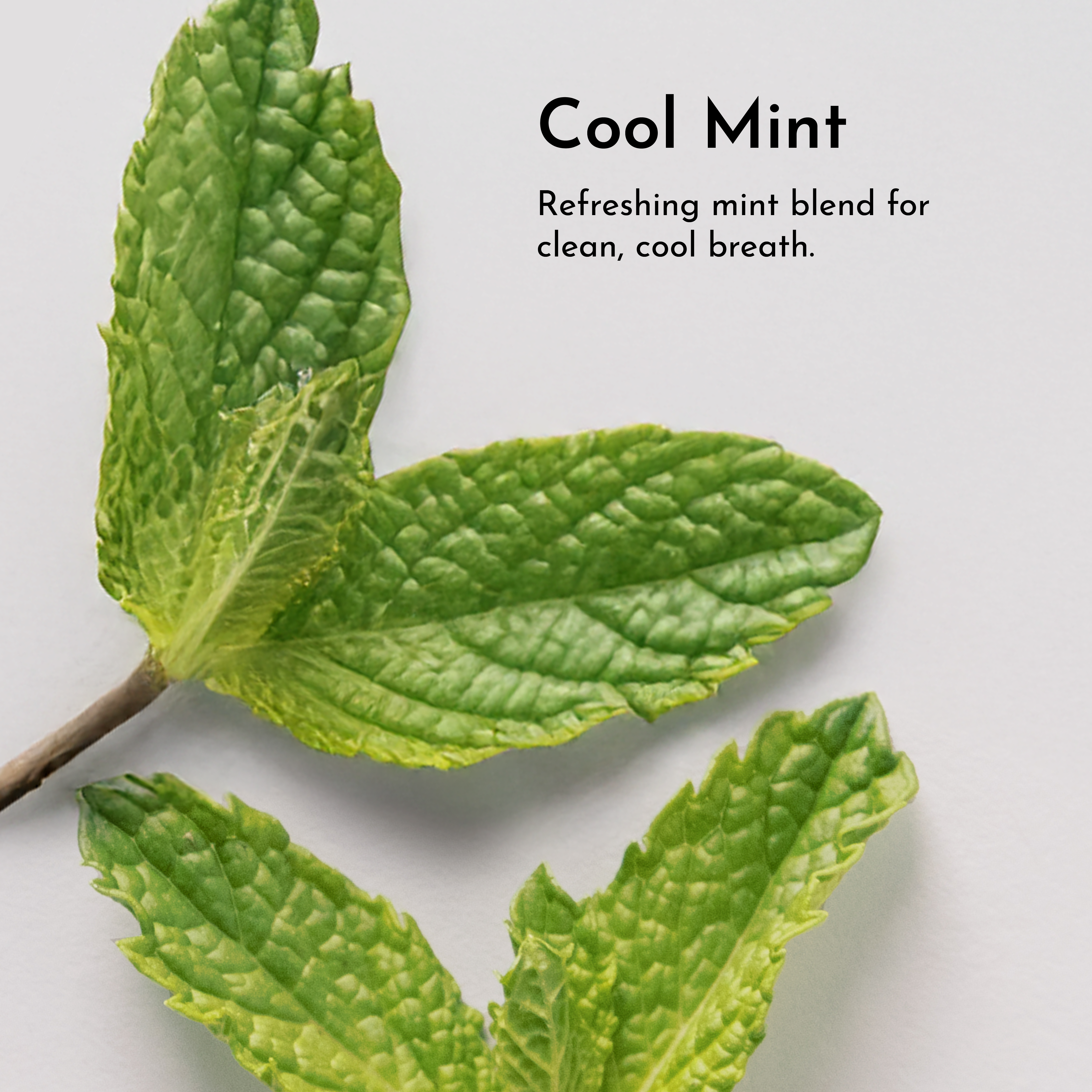 Remineralizing Mouth Wash (Cool Mint)