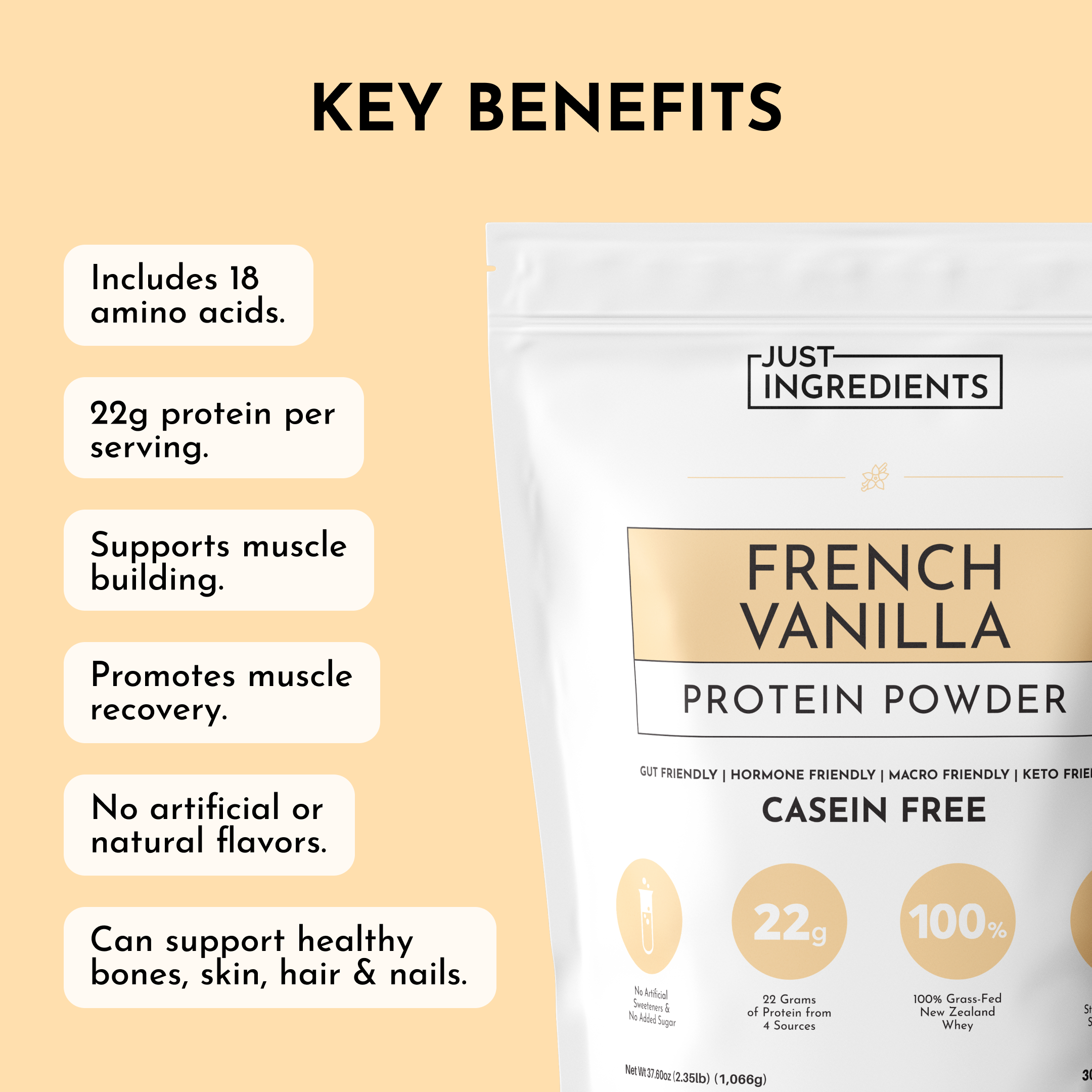 French Vanilla Protein Powder