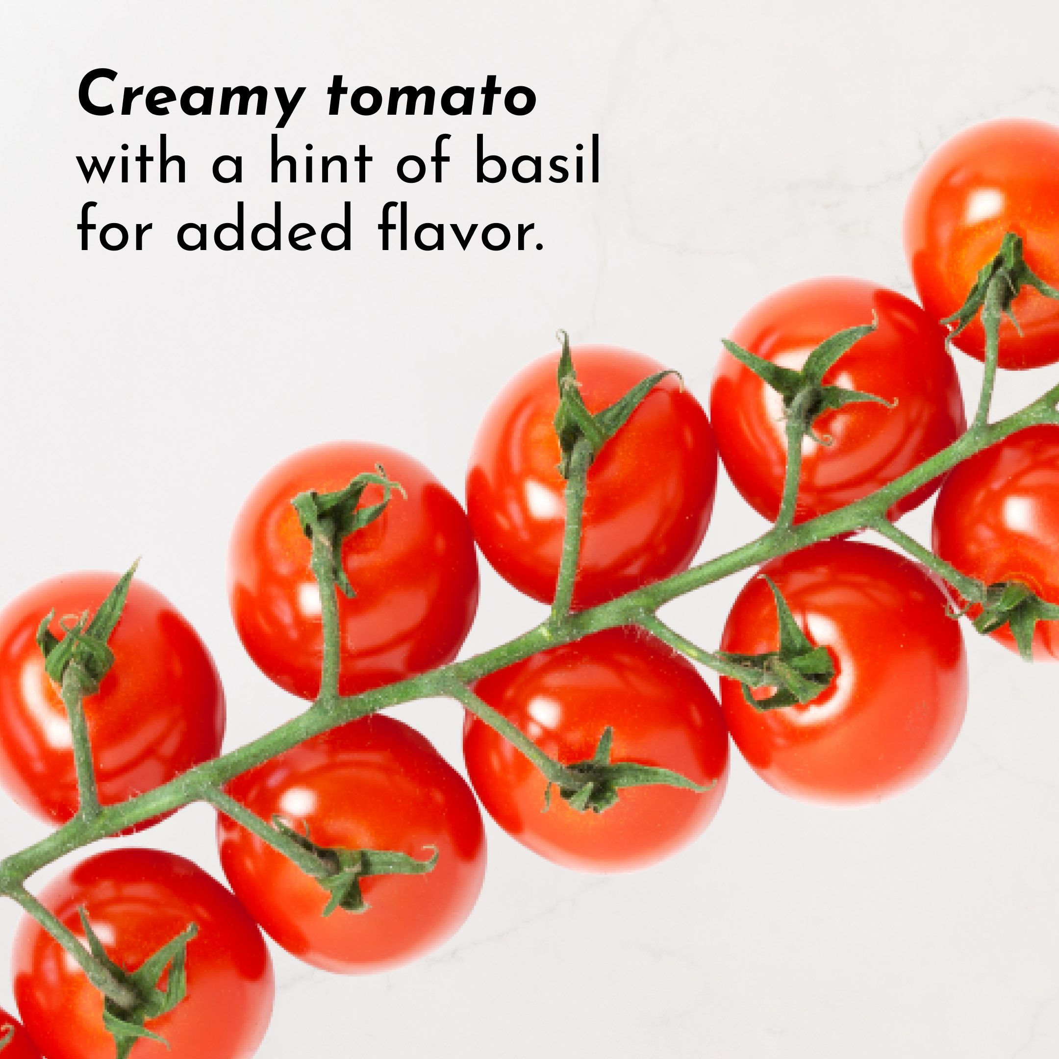 Tomato Basil Bone Broth