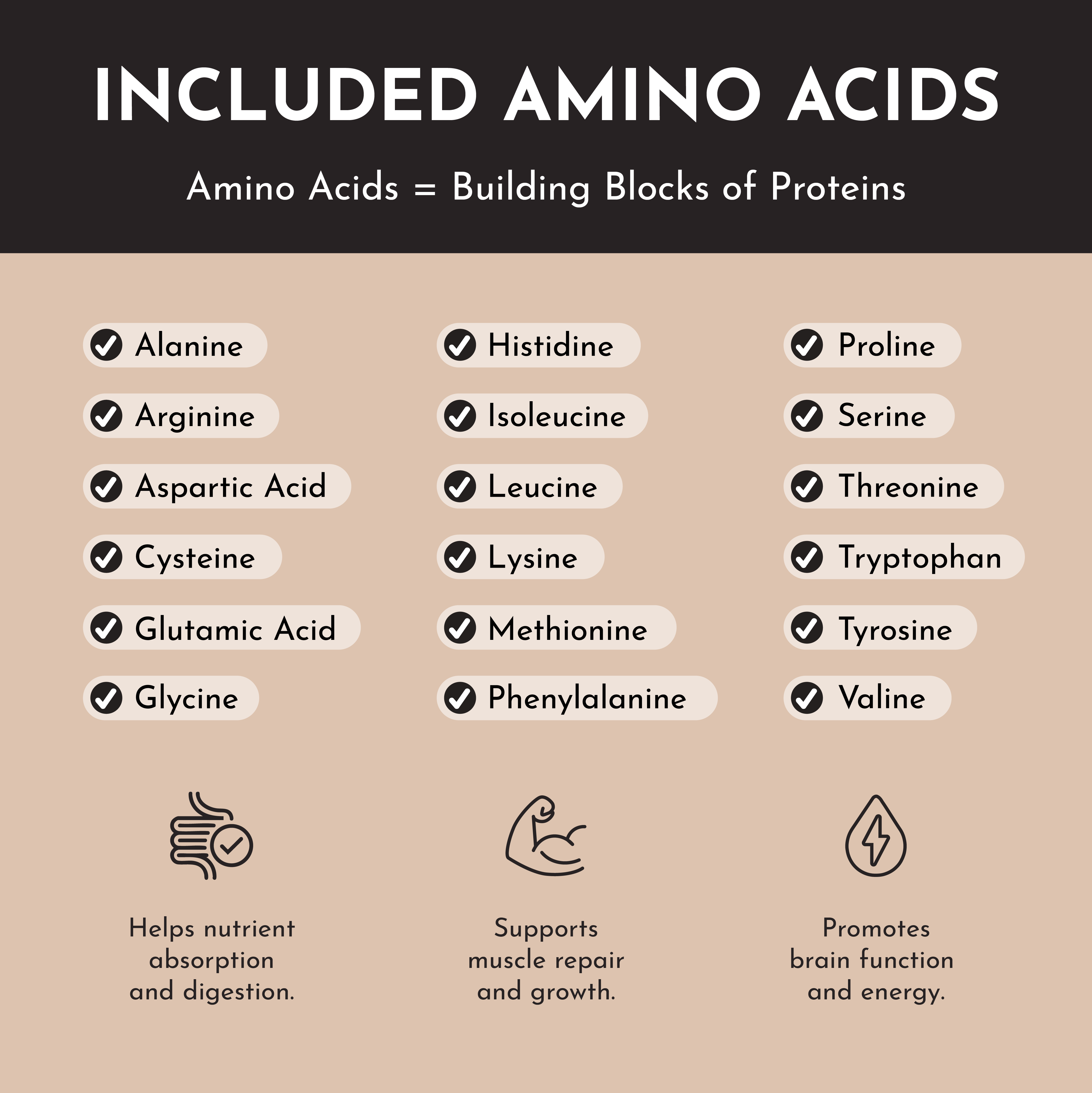 Creamy Peanut Butter Chocolate Protein Powder Stick