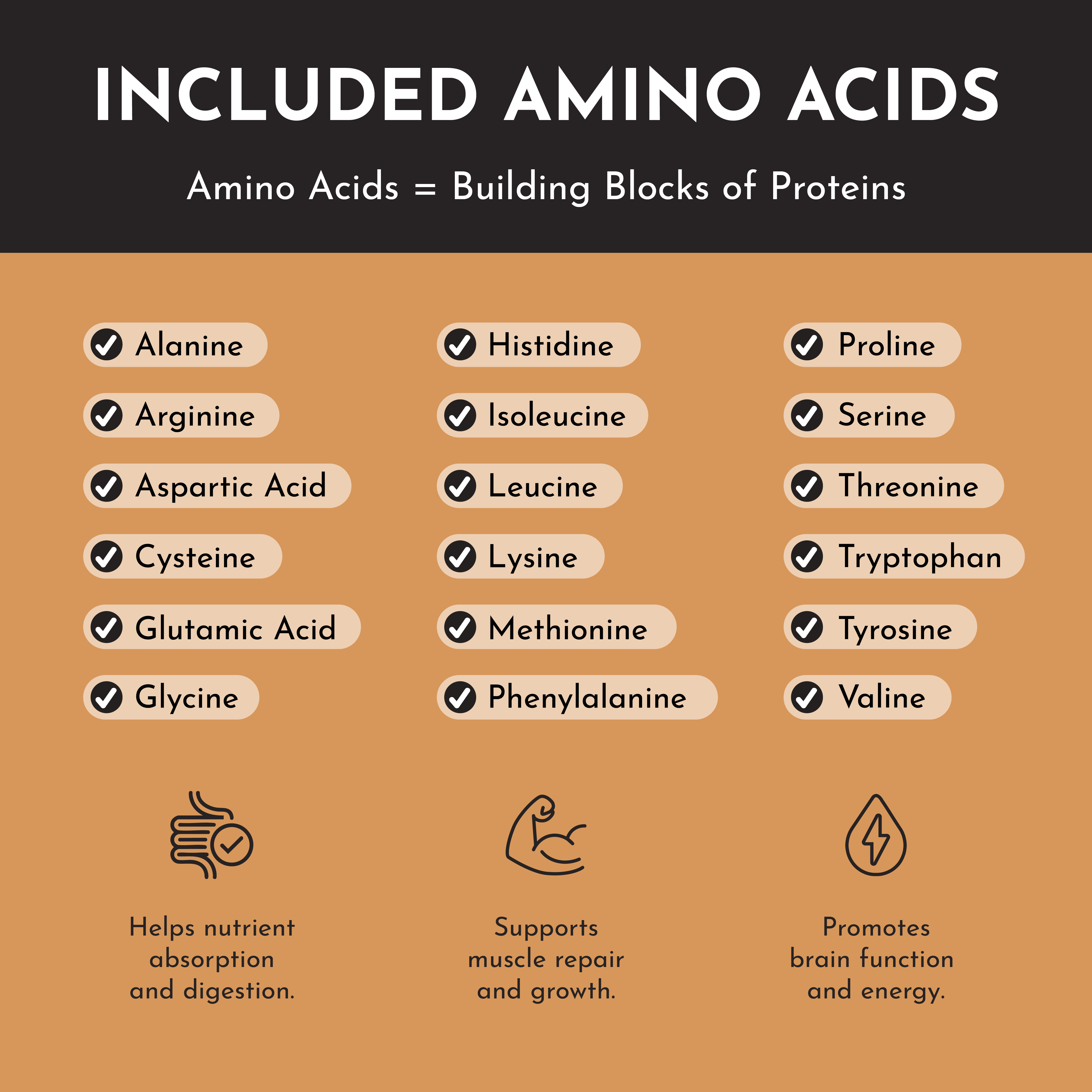 Salted Caramel Protein Powder Stick