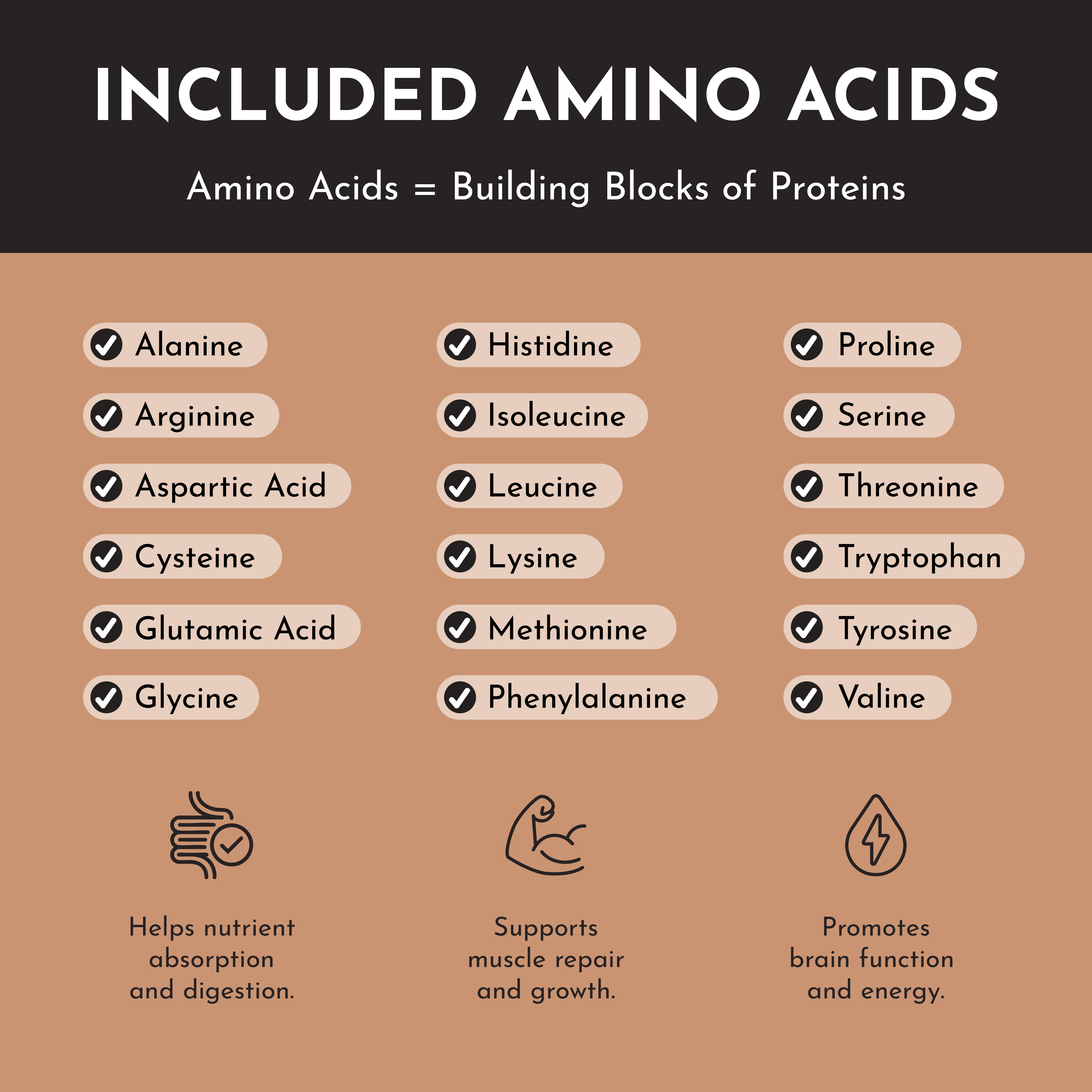 Roasted Peanut Butter Chocolate Protein Powder Stick