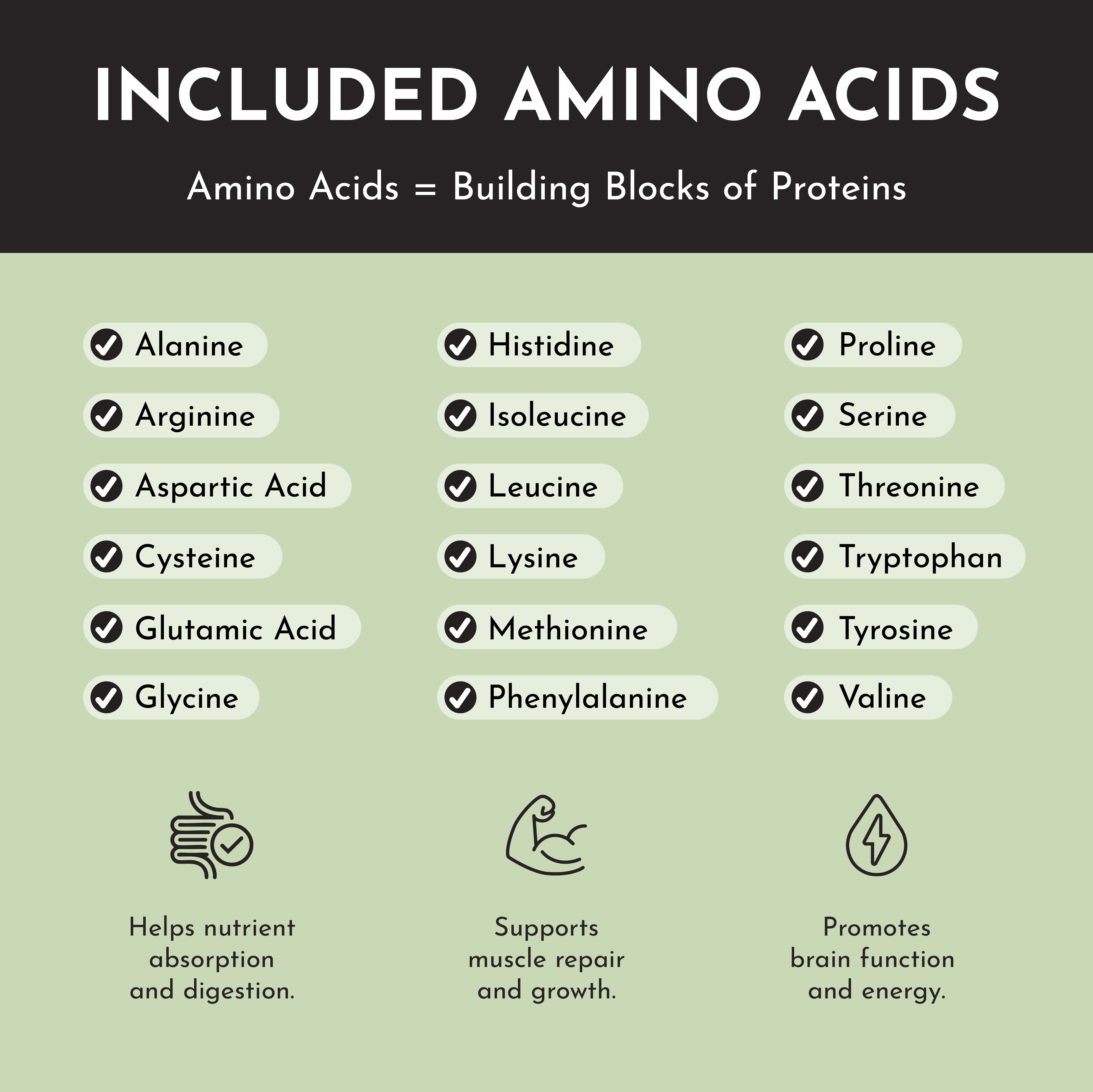 Mint Chocolate Protein Powder Stick