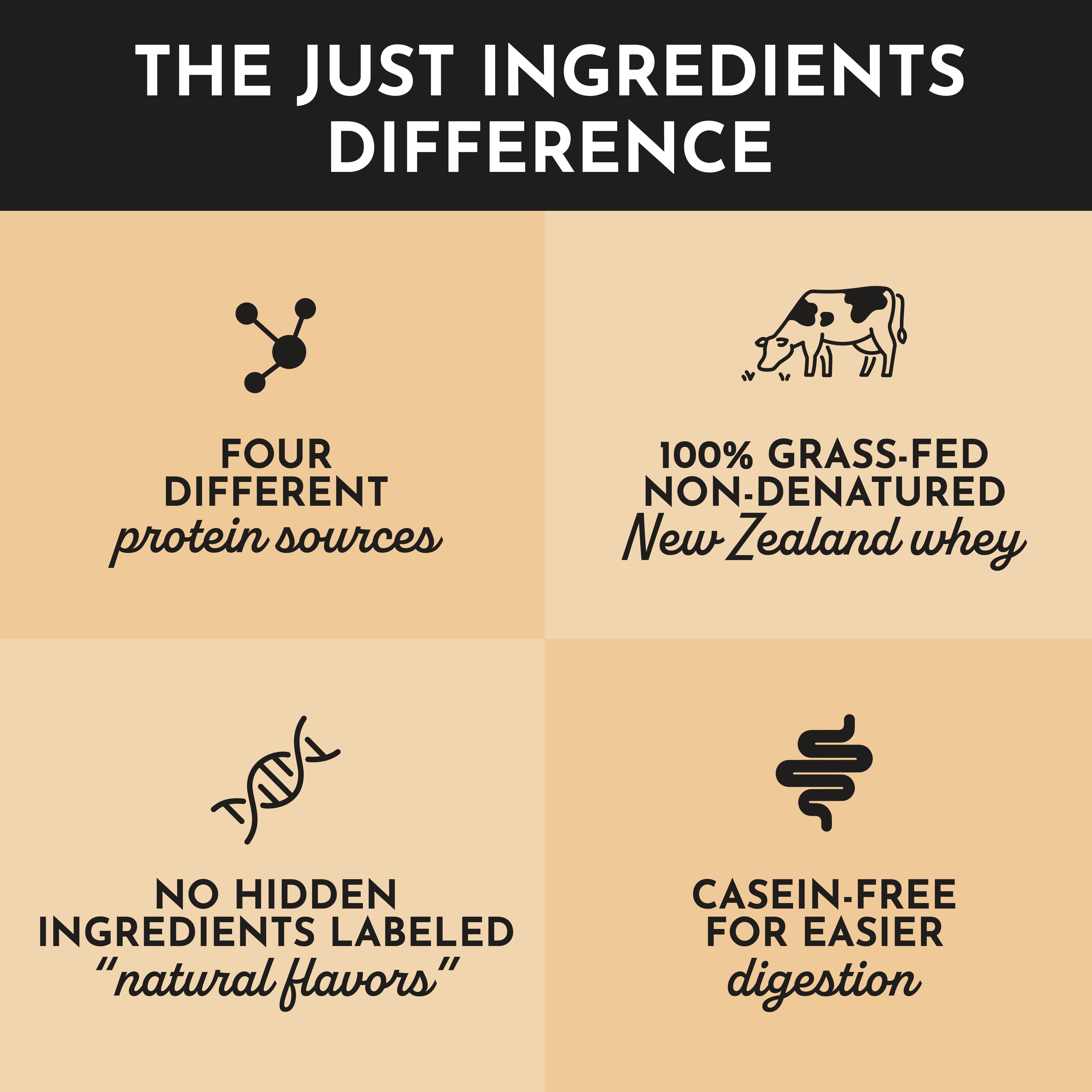 French Vanilla Protein Powder Stick