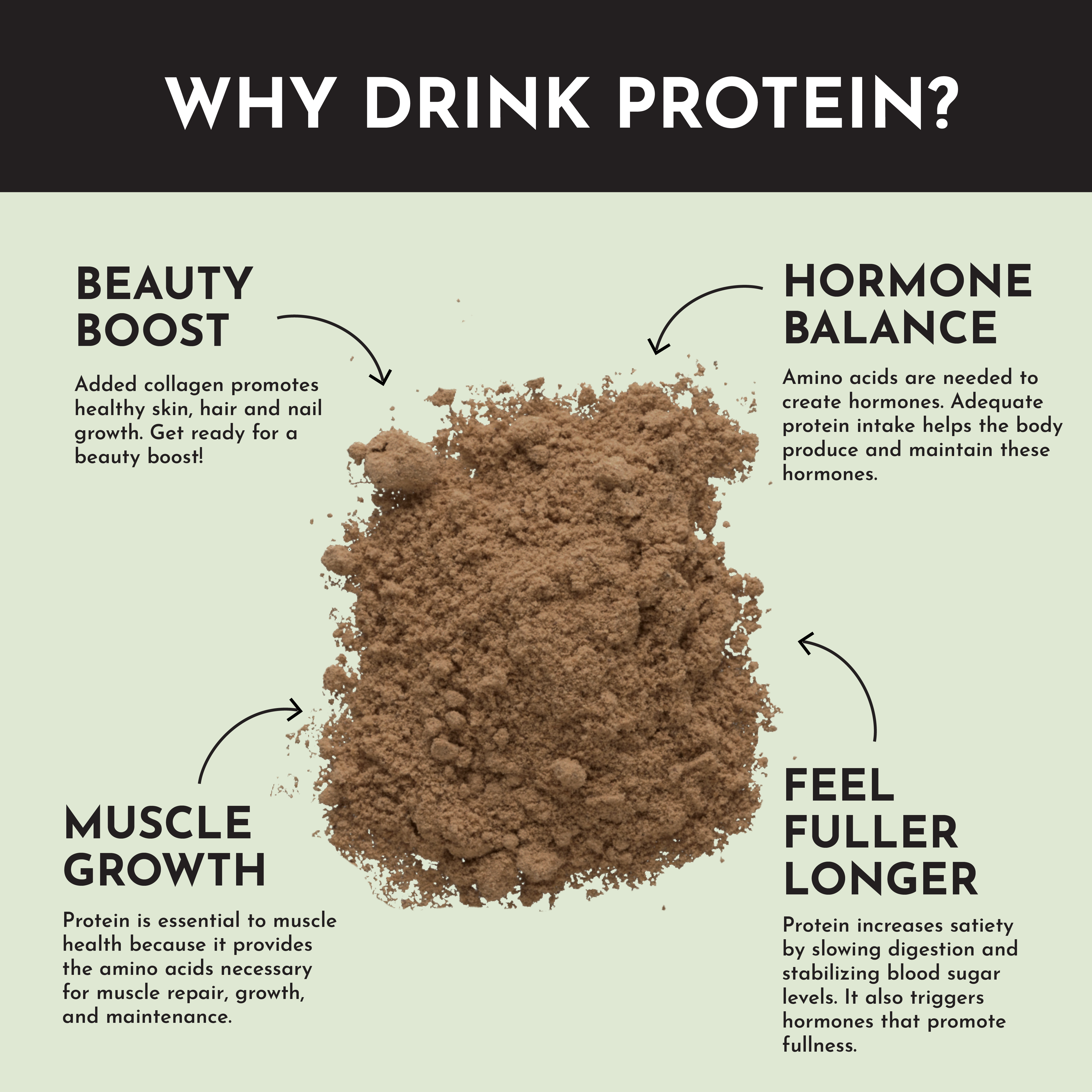 Mint Chocolate Protein Powder Stick