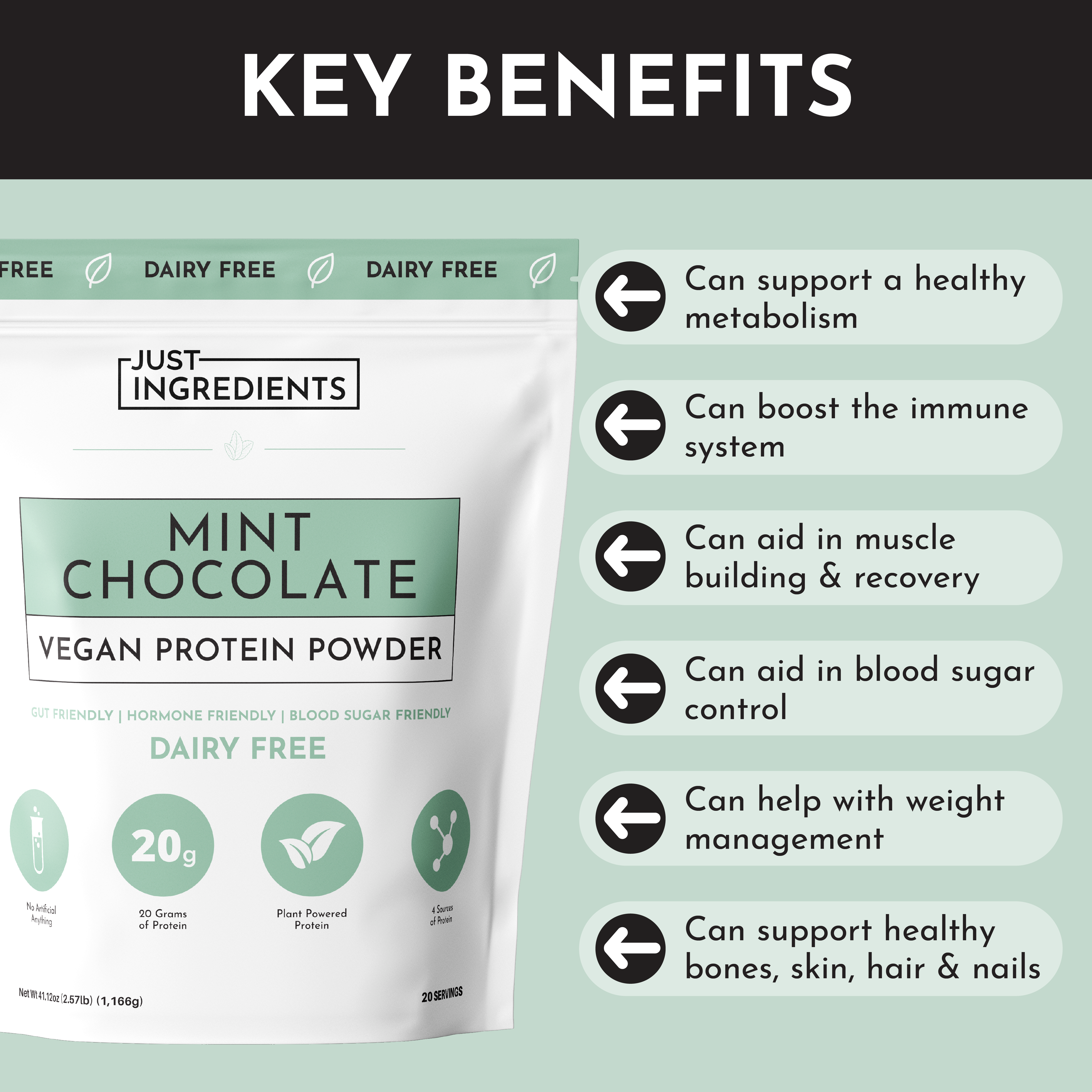 Vegan Mint Chocolate Protein Powder