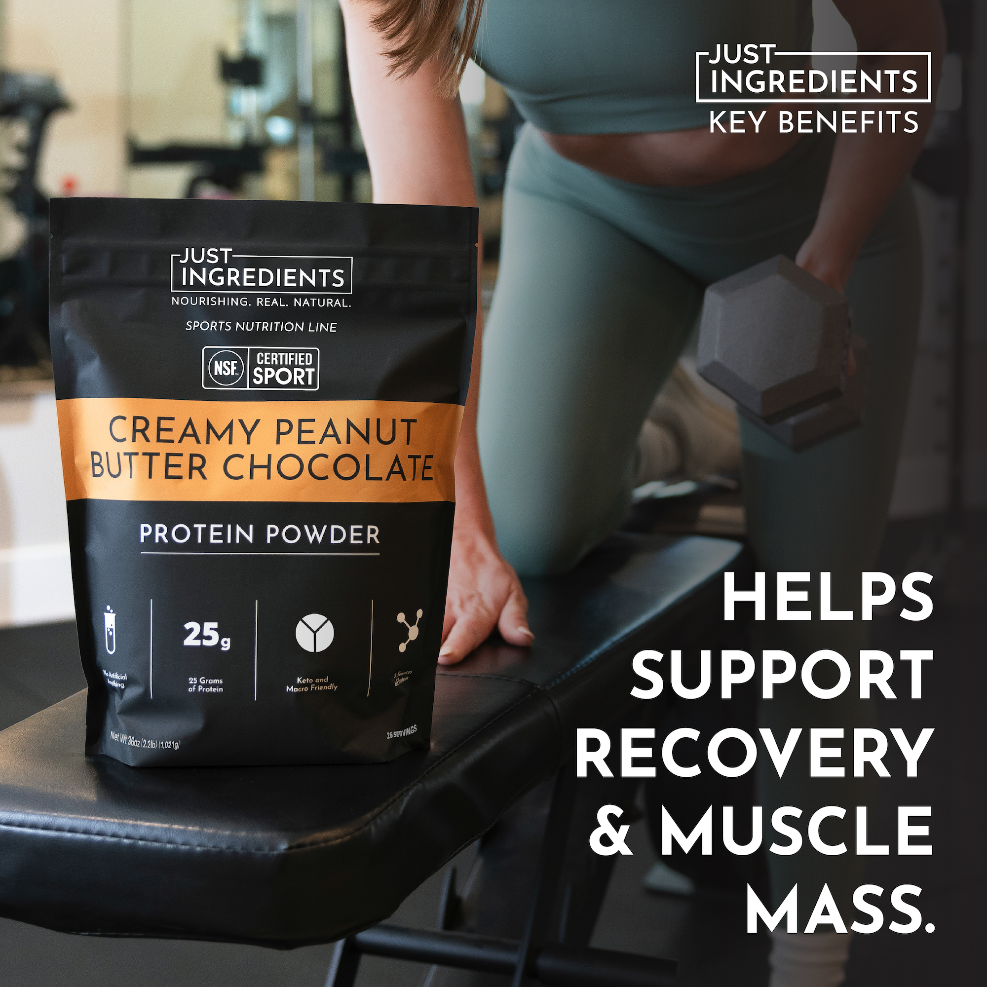 Creamy Peanut Butter Chocolate Protein Powder - NSF