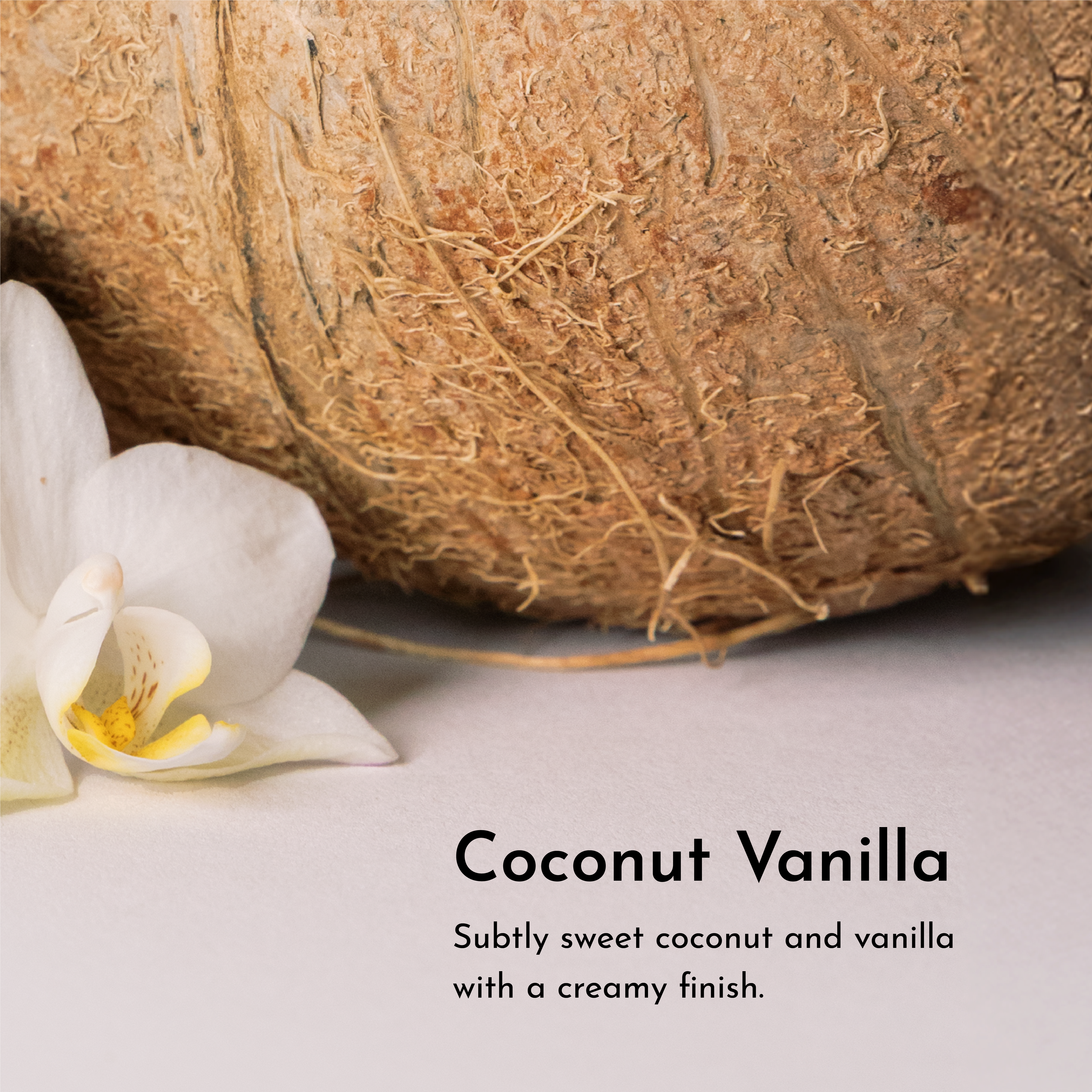 Face Serum Oil - 2 oz