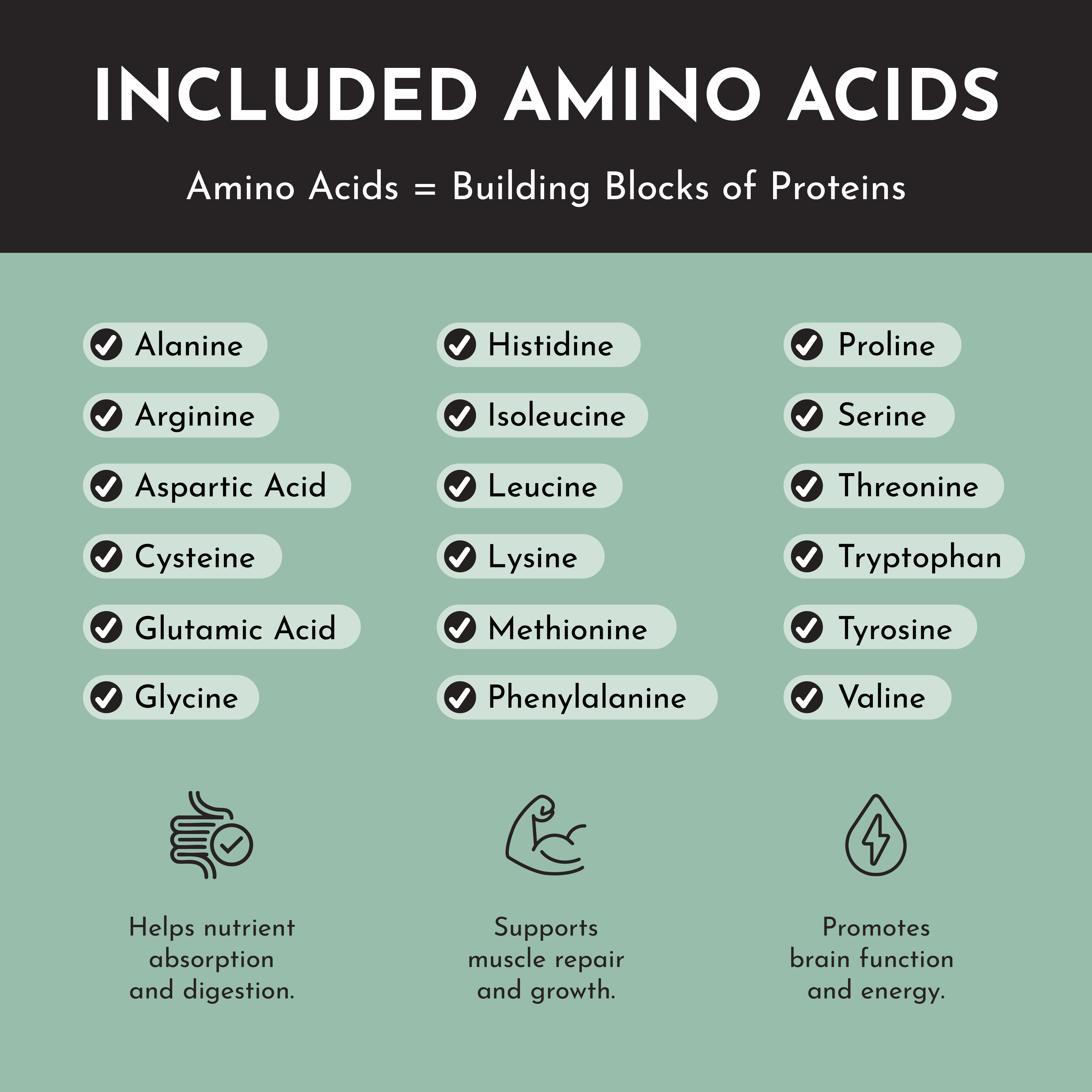 Vegan Mint Chocolate Protein Powder